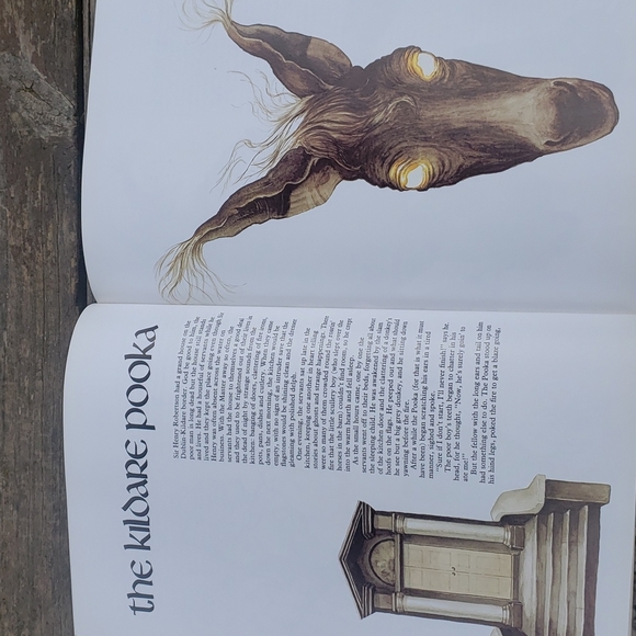 Leprechauns Legends and Irish Tales Book - Picture 6 of 6